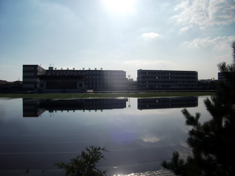 dscf0323.jpg