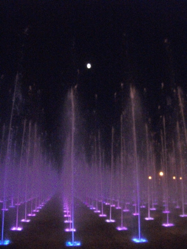dscf0361.jpg