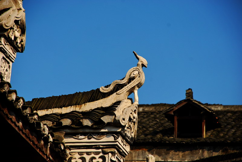 dsc_2578.jpg