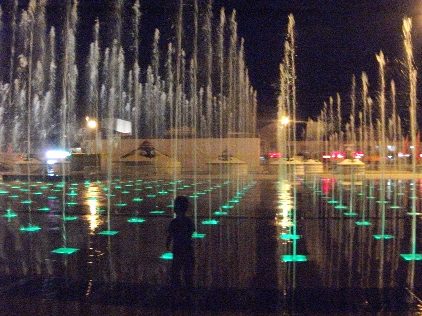 dscf0388.jpg