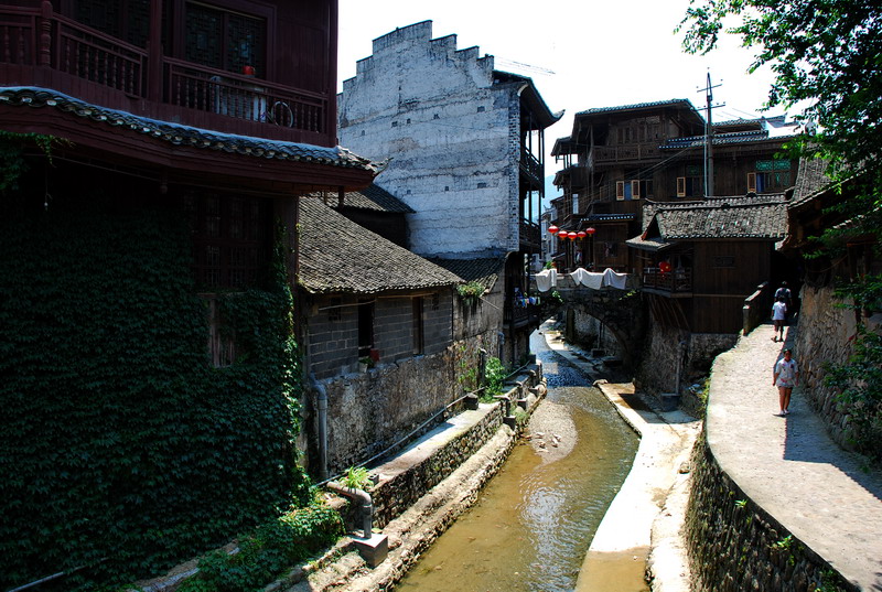 dsc_2681.jpg