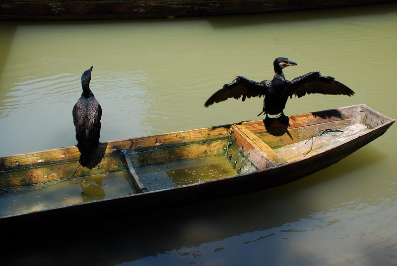 dsc_2712.jpg