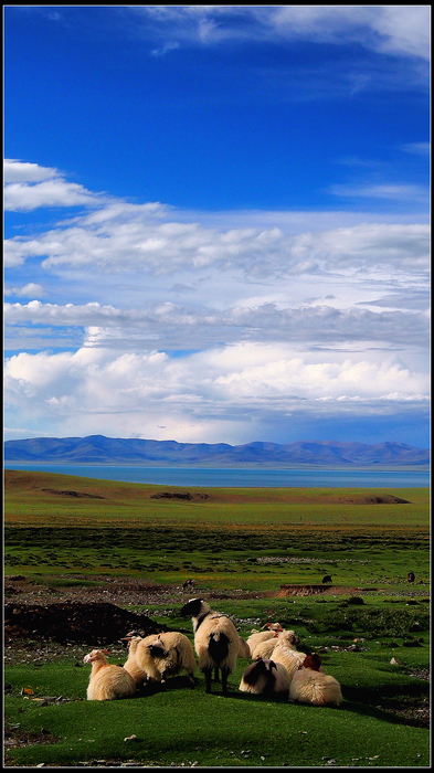 p1011915_.jpg