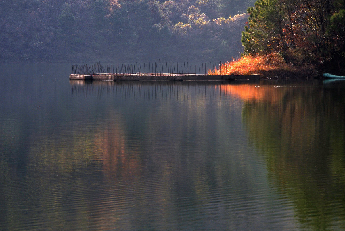 k1204937.jpg