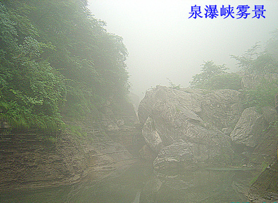 dsc09902_.jpg