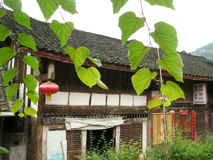 p1010037.jpg