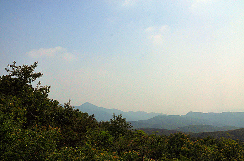 dsc_0743_.jpg