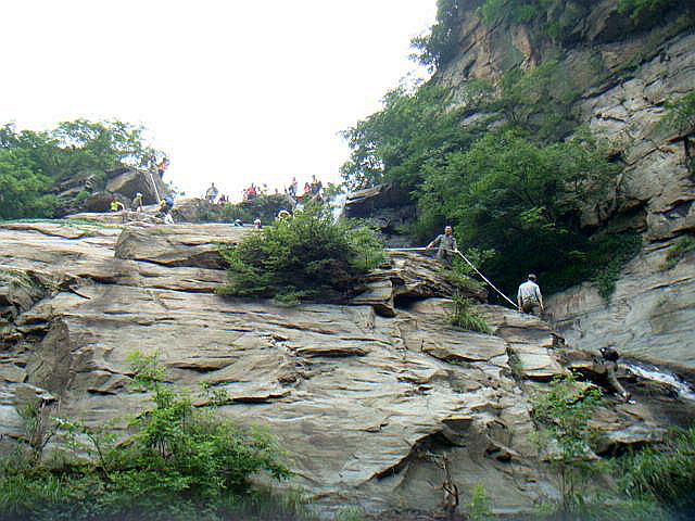 dsc07537.jpg