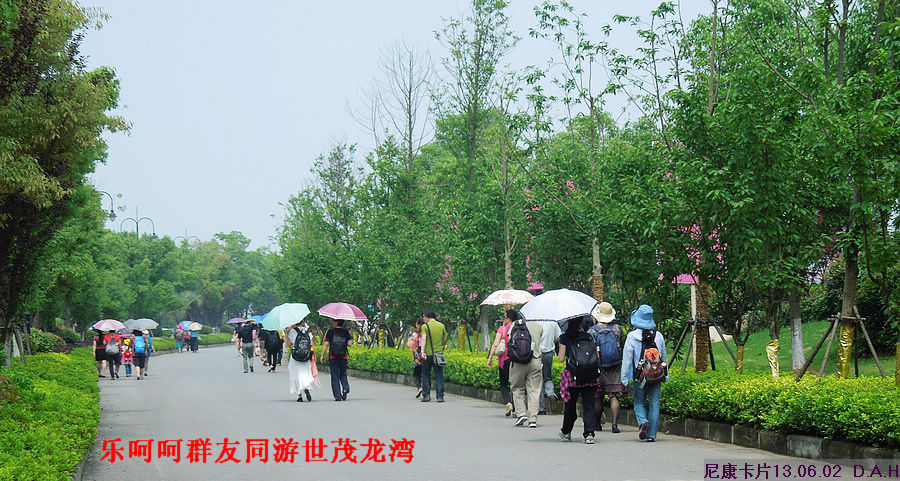dscn9730.jpg