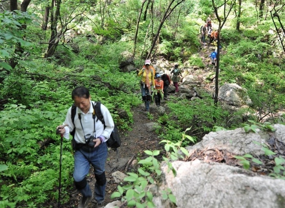 qqͼƬ20130531195537.jpg