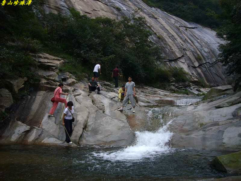 20090503_7b35972da7563b53f46ddfvw5ctketgm--1.jpg