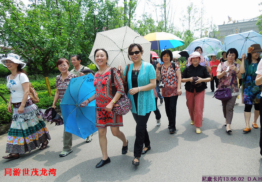 dscn9722.jpg
