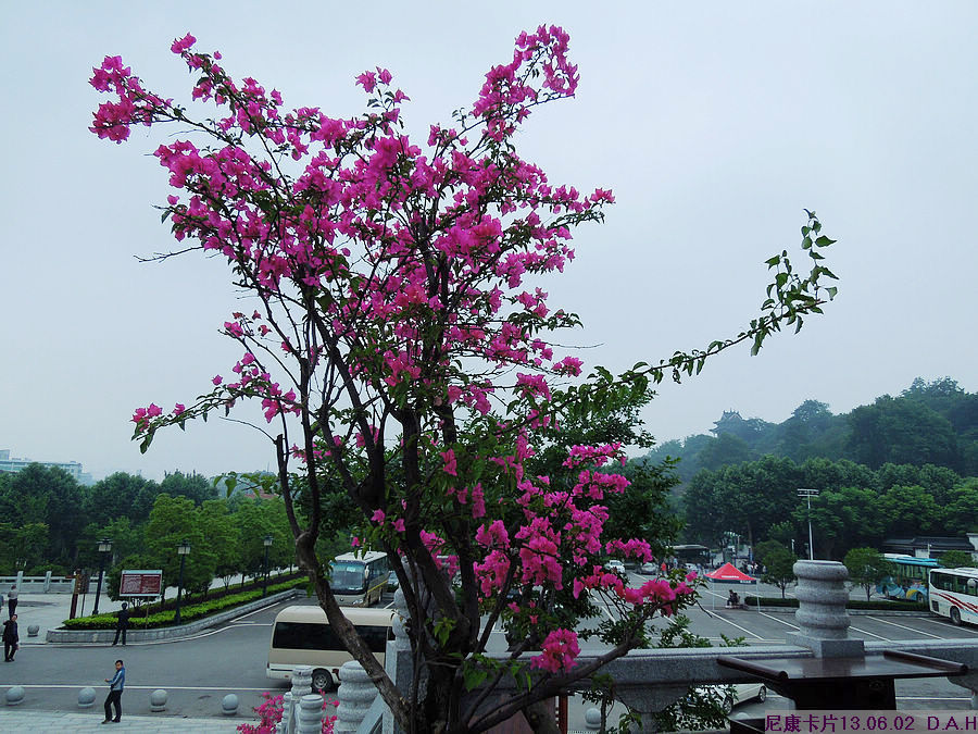 dscn9686.jpg
