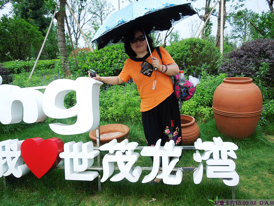 dscn9765.jpg