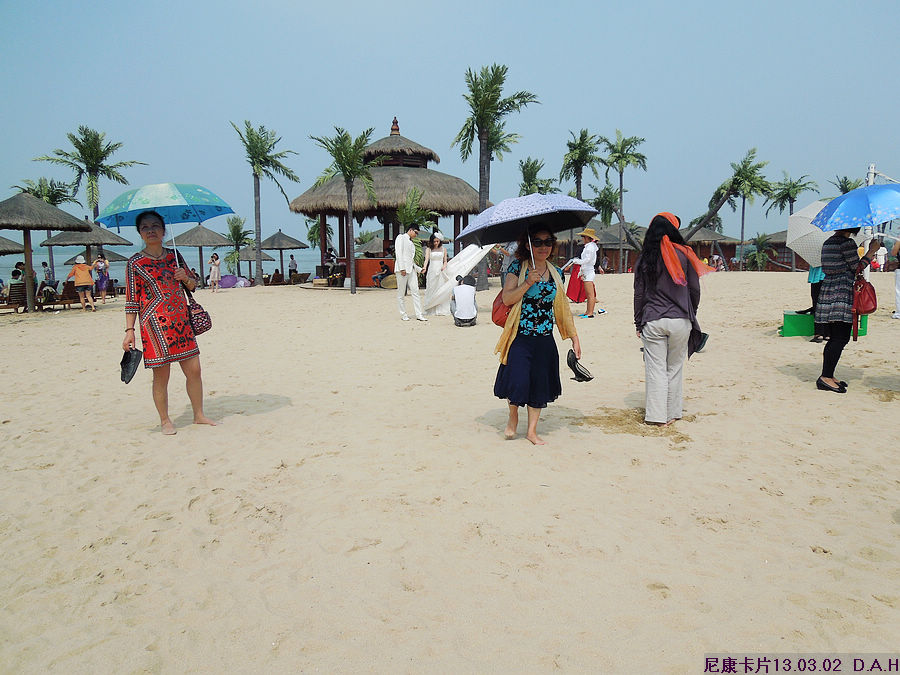 dscn9833.jpg