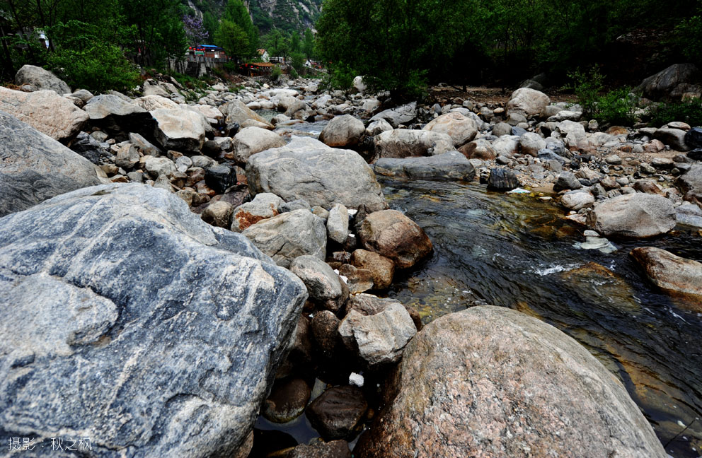 dsc_2873 -1.jpg