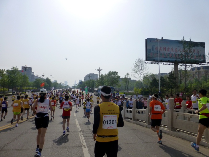 p1070131.jpg