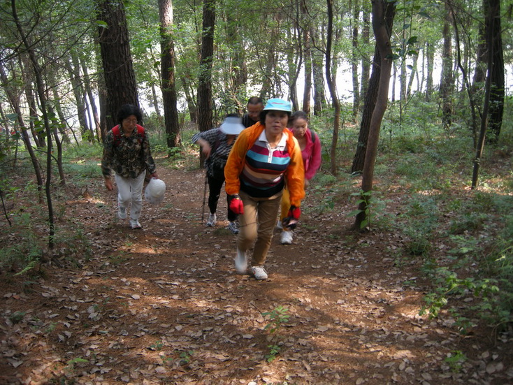 dscn8887.jpg