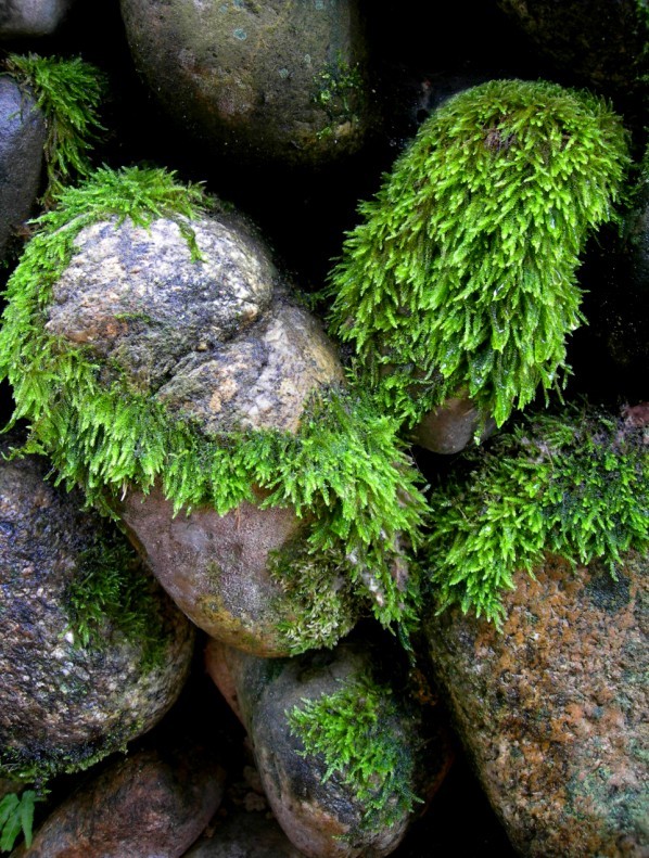 qqͼƬ20130606004714.jpg