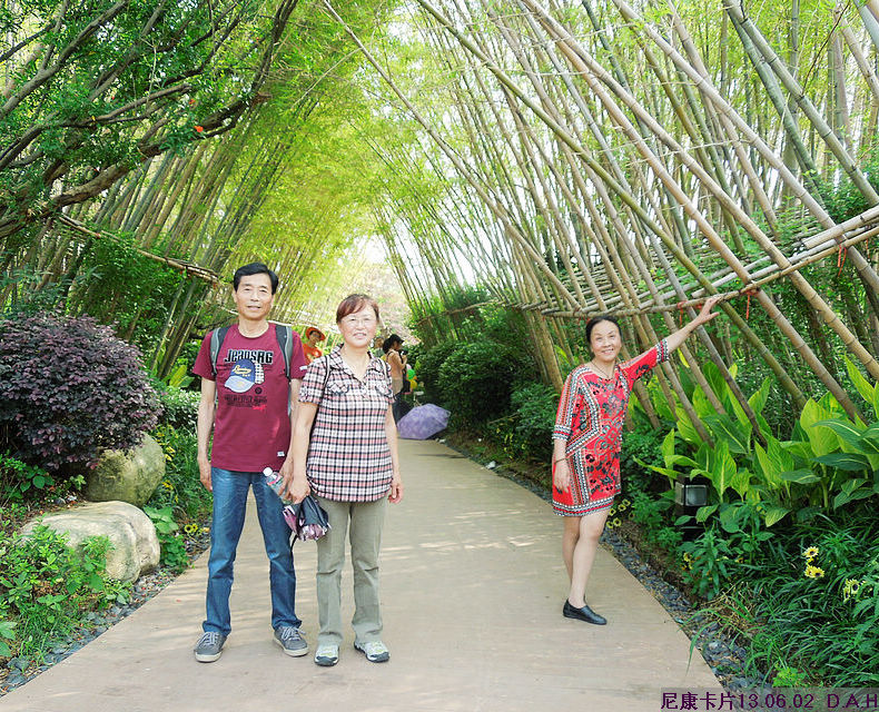dscn9904.jpg