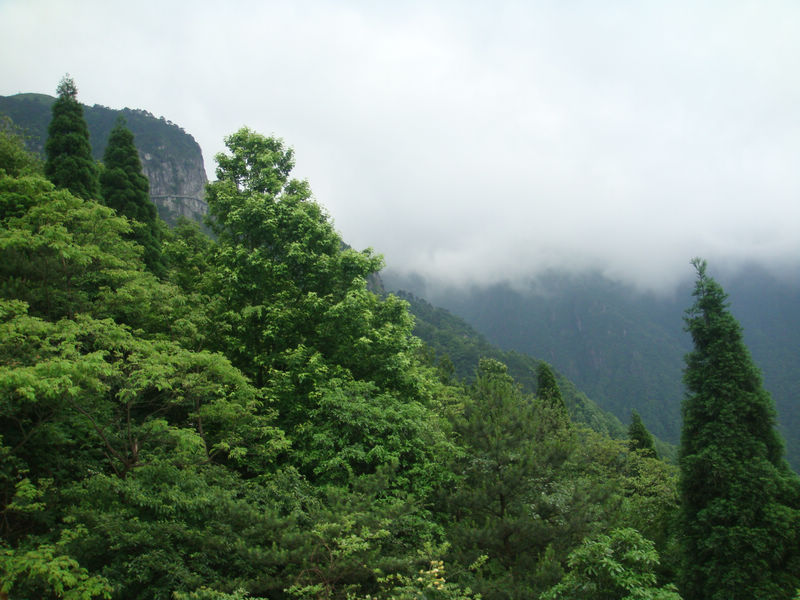 dsc03264.jpg