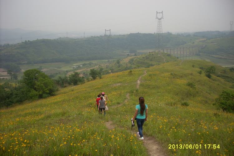 sl383777.jpg