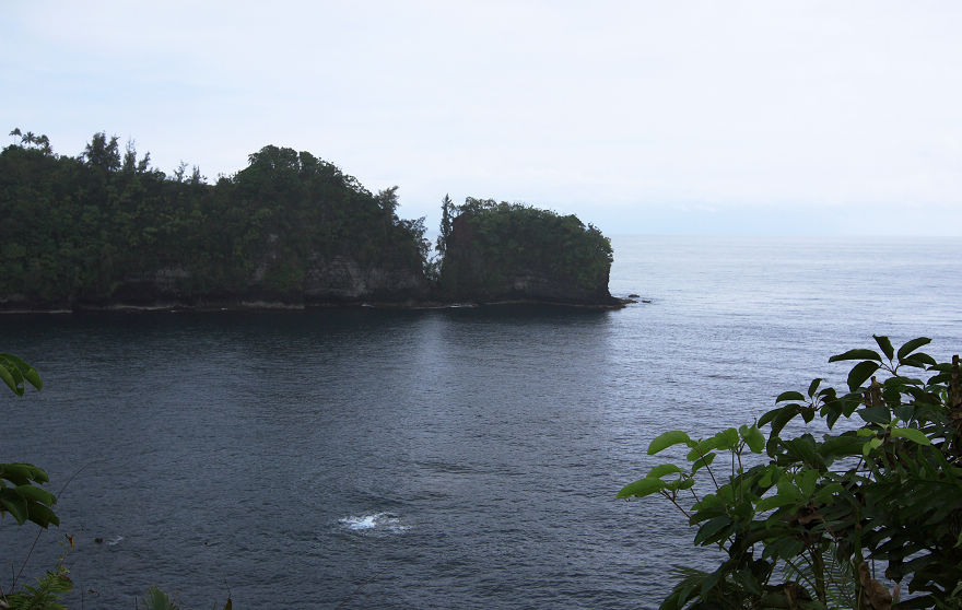img_7769.jpg