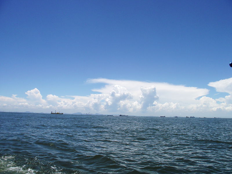 dscf8245.jpg