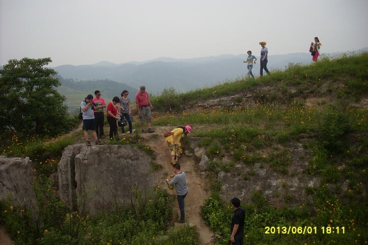 sl383802.jpg