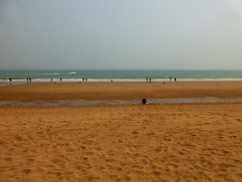 p1060155.jpg