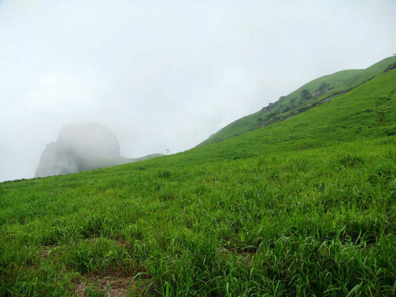 dsc03317.jpg