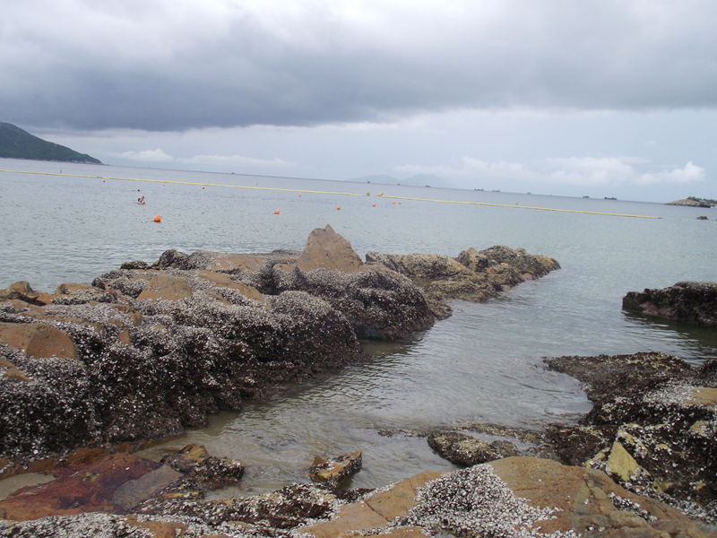 dscf5064.jpg