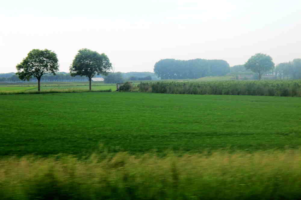 img_5609_.jpg