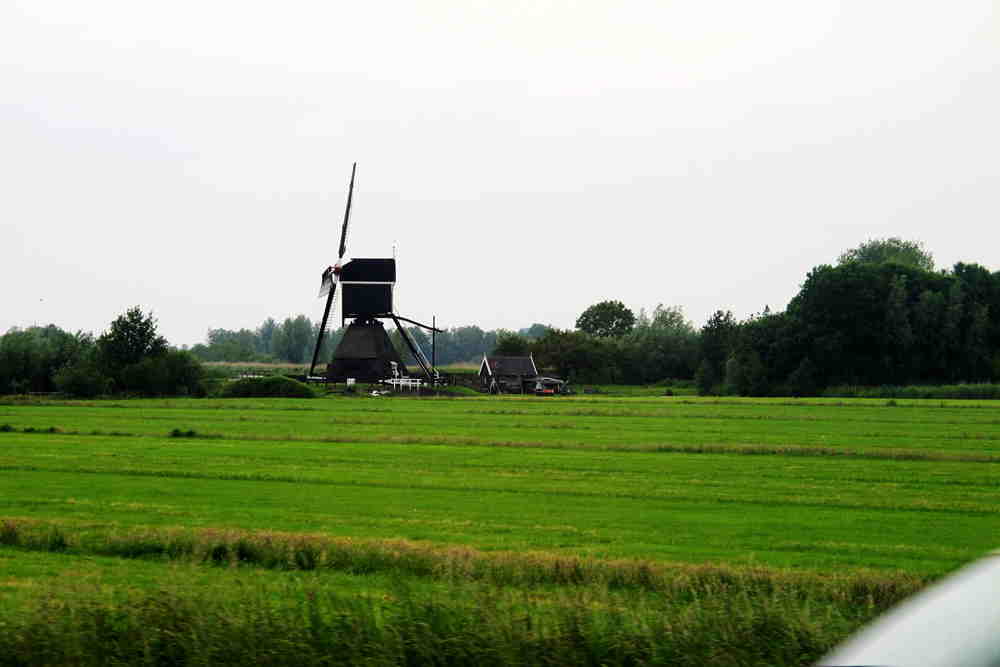 img_5650_.jpg