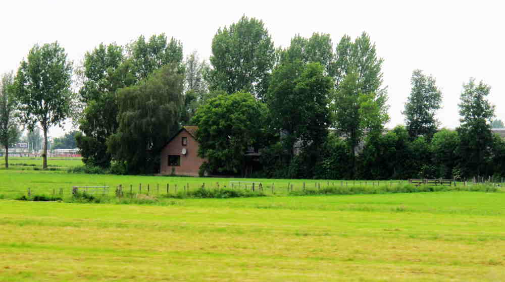 img_5623_.jpg