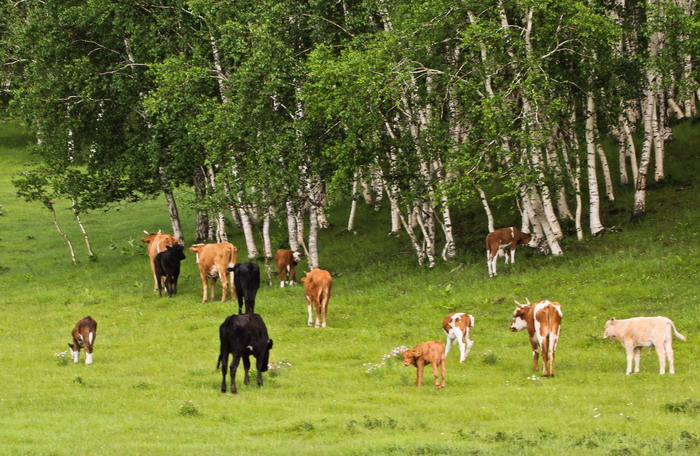 img_9880_СС.jpg