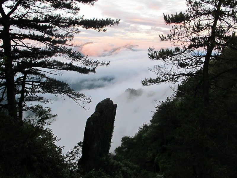 simg_0853.jpg