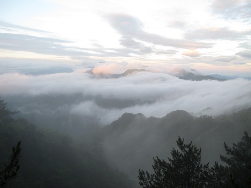 simg_0860.jpg