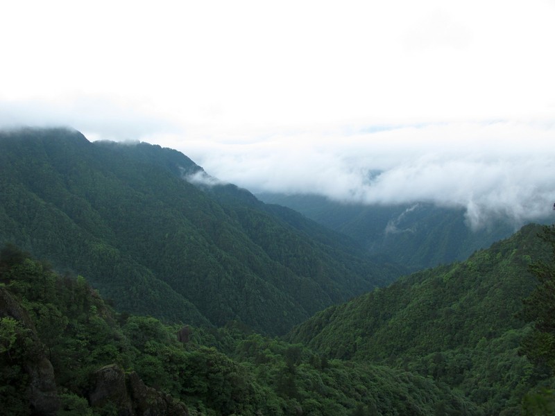 simg_0870.jpg