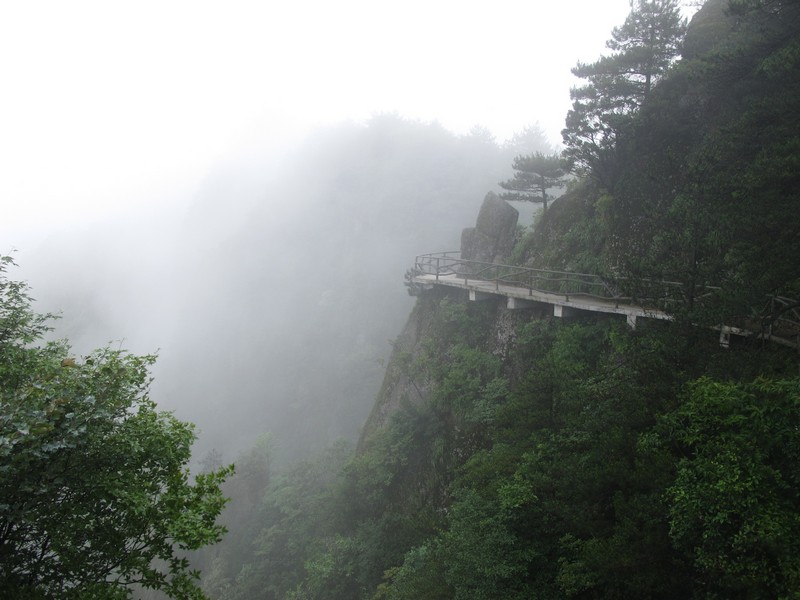 simg_0884.jpg