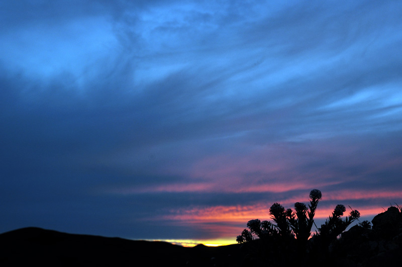 dsc_0618ӵϼ.jpg