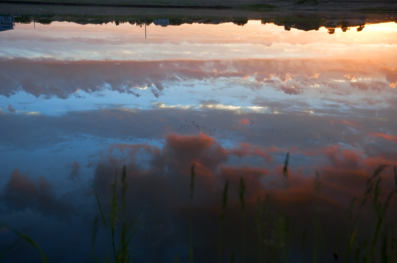 dsc_0656.jpg