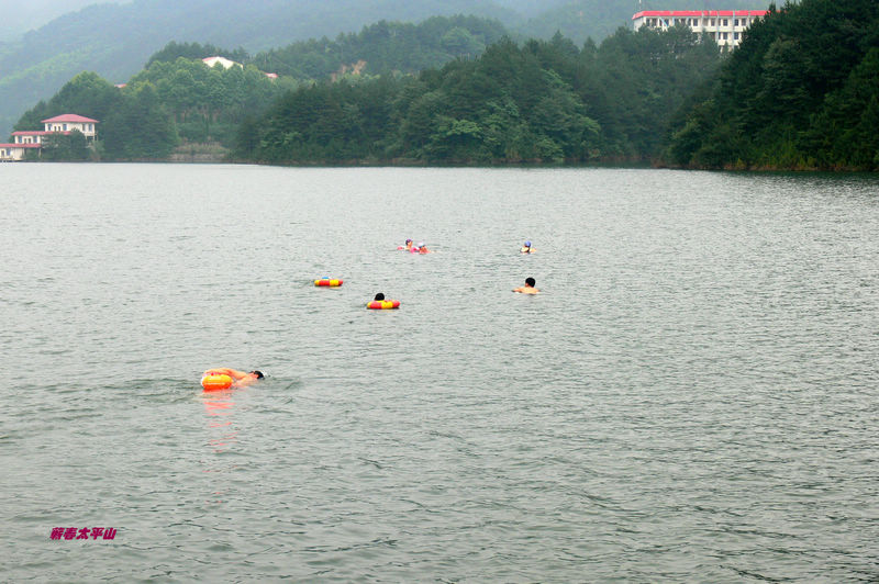 p1270583.jpg