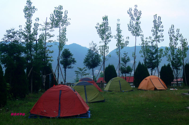 p1270593.jpg