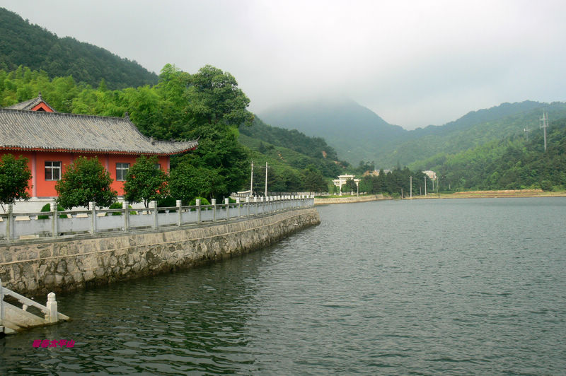 p1270599.jpg