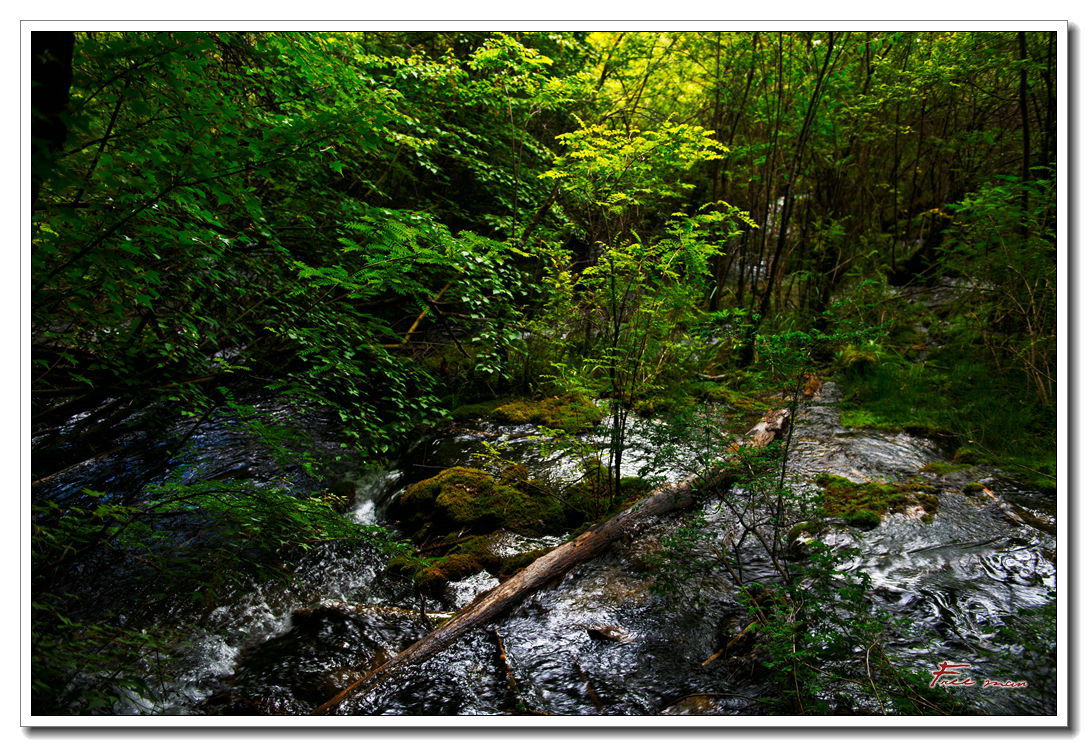 dsc_1171.jpg