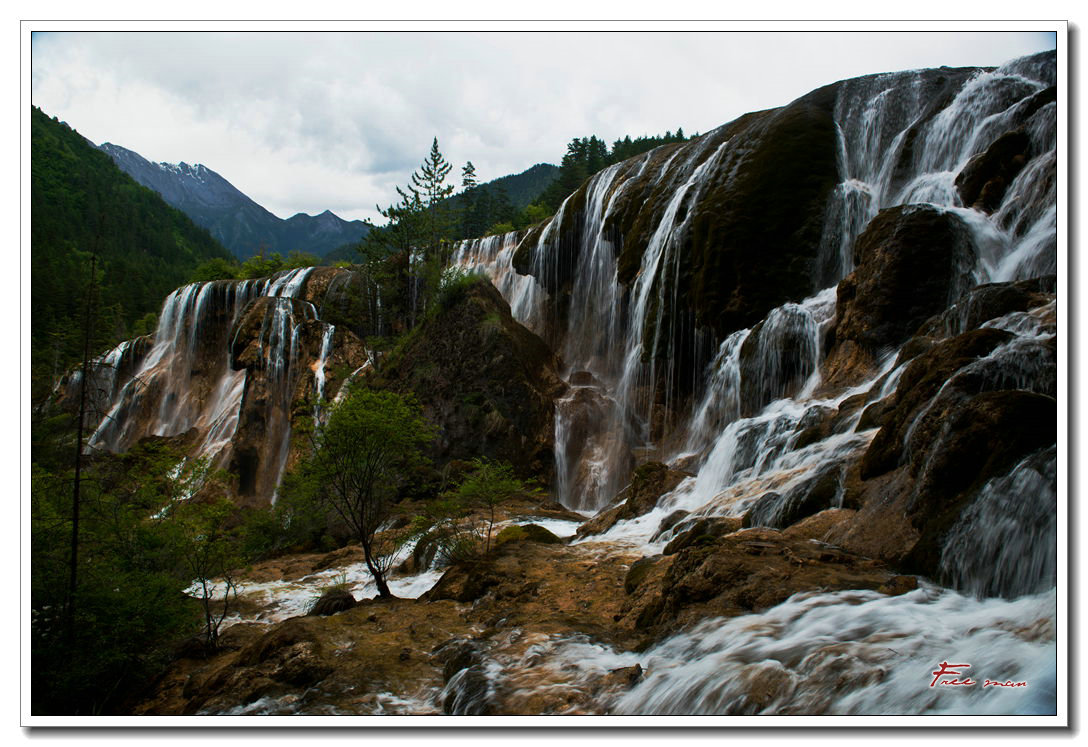 dsc_1191.jpg