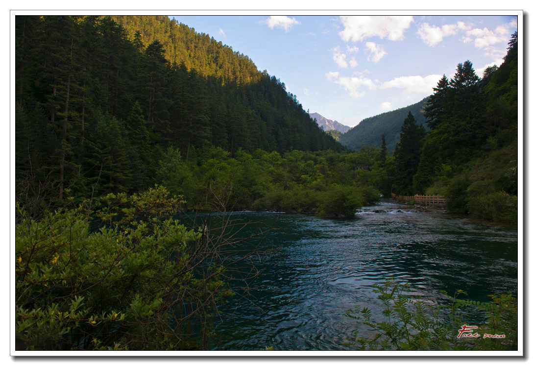 dsc_1341.jpg