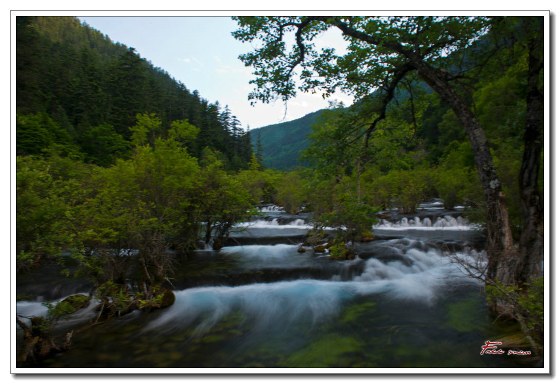 dsc_1370.jpg