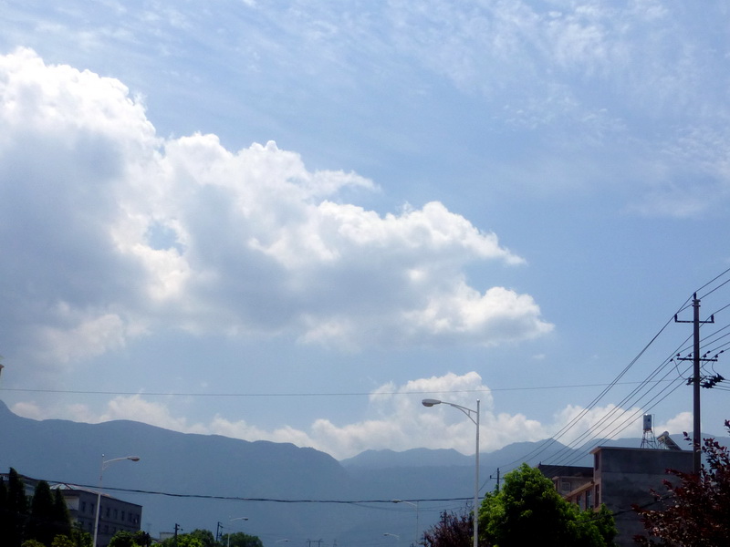 p1090012.jpg